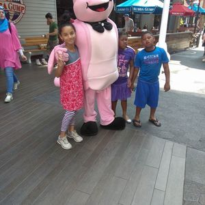 Meet your Posher, Phoenicia